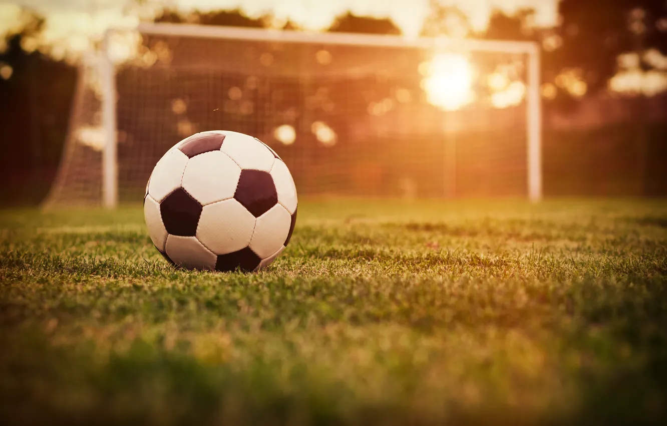 Photo wallpaper field, grass, the sun, lawn, football, the ball, gate, bokeh
