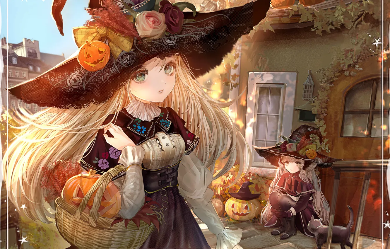 Photo wallpaper pumpkin, basket, halloween, Sunny day, Jack, squat, lush hair, witch hat