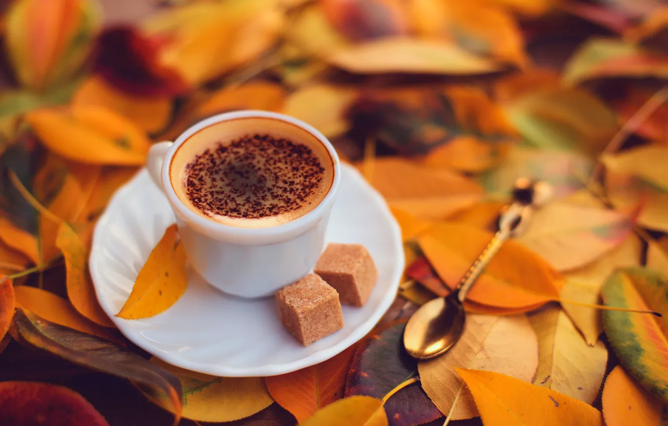 Photo wallpaper autumn, foam, leaves, yellow, cubes, coffee, chocolate, spoon