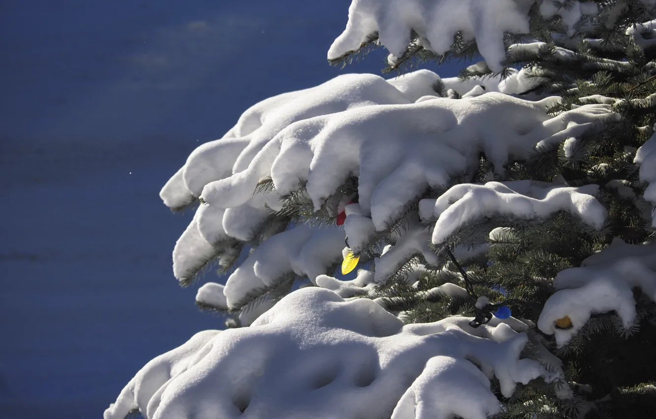 Photo wallpaper snow, tree, new year, garland