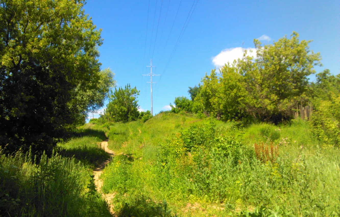 Photo wallpaper field, landscape, nature, green, the way