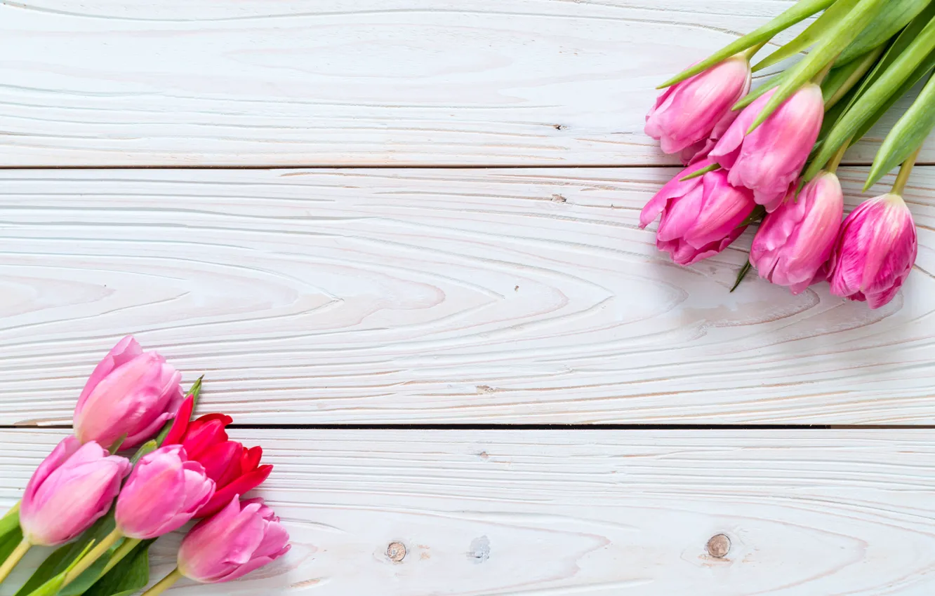 Photo wallpaper flowers, tulips, pink, fresh, wood, pink, flowers, tulips