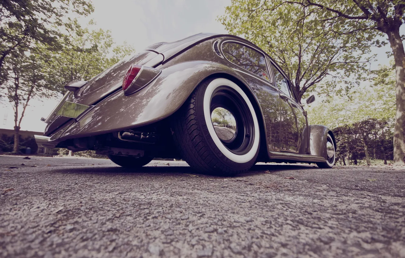 Photo wallpaper Volkswagen, cars, auto, tuning, Beetle, the view from the back, wallpapers auto, Tuning cars