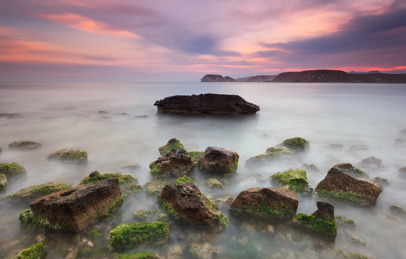 Photo wallpaper sea, the sky, clouds, algae, sunset, stones, rocks, tide