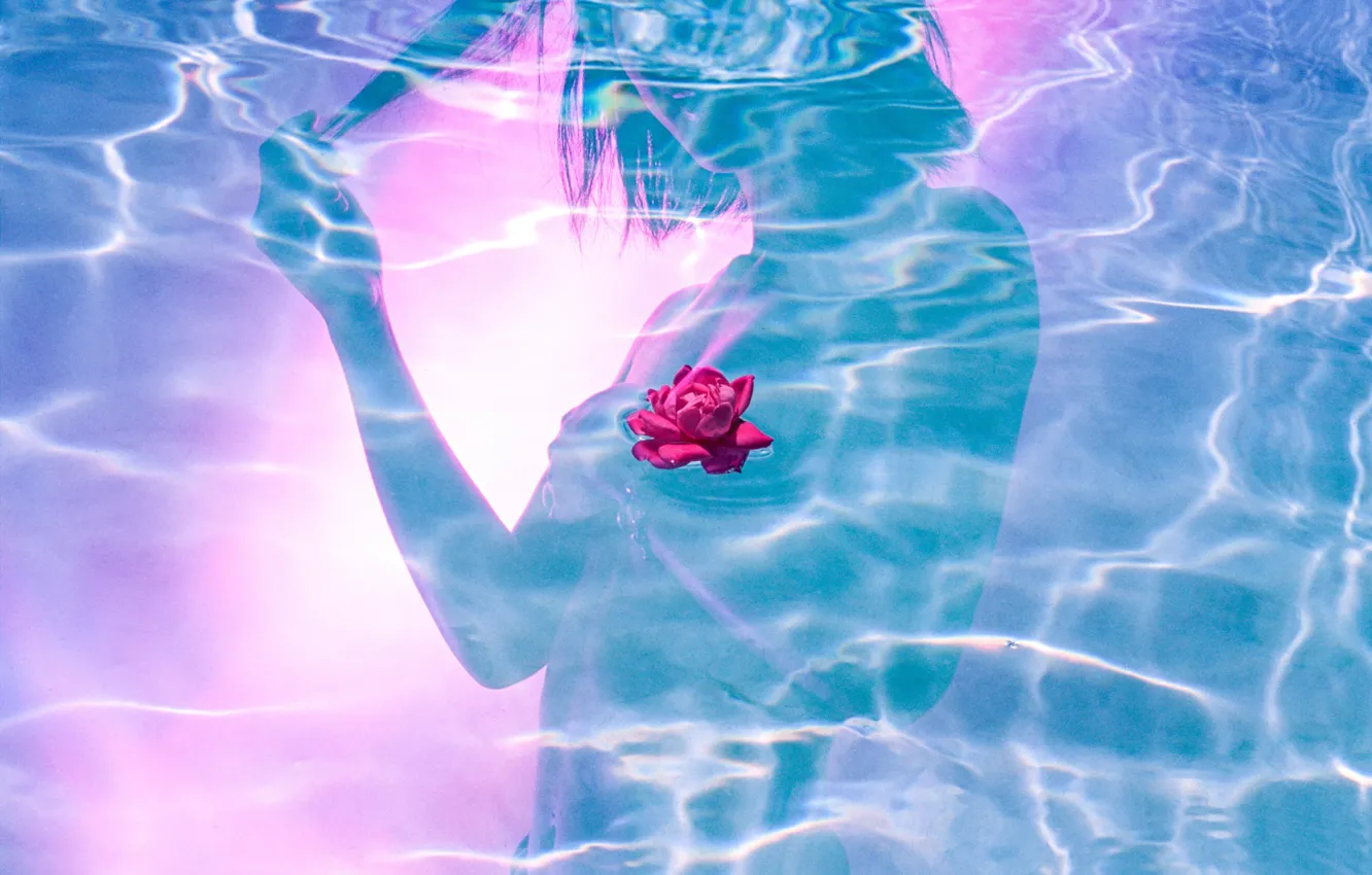 Photo wallpaper water, girl, silhouette, Lotus, by Hayden Williams
