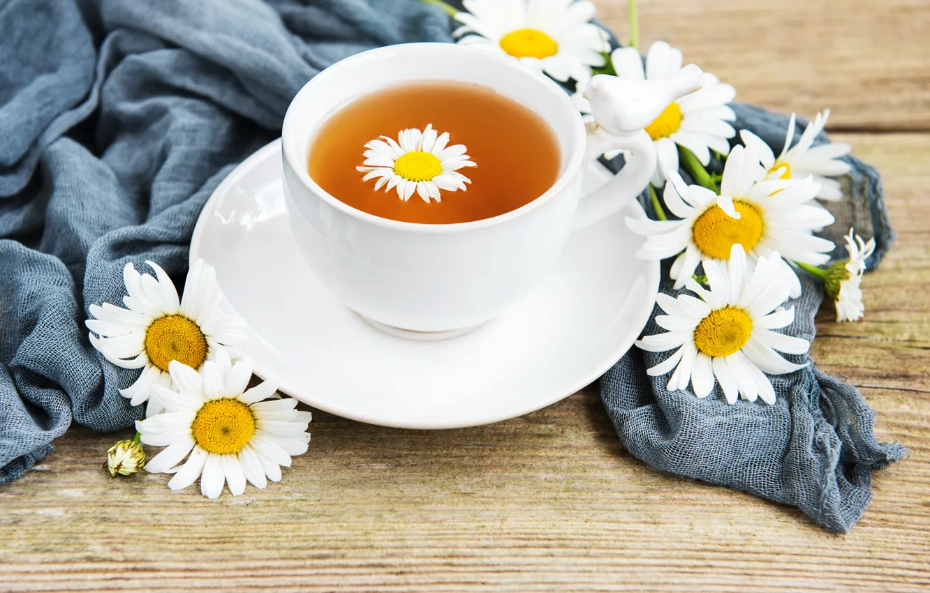 Photo wallpaper Daisy, Cup, tea fragrant