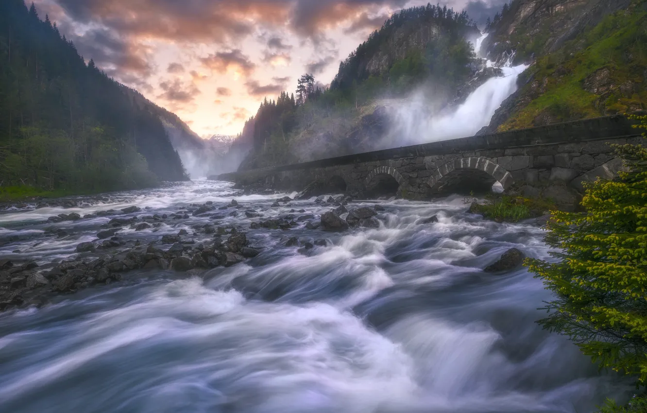 Photo wallpaper wave, forest, mountains, branches, bridge, fog, stones, rocks