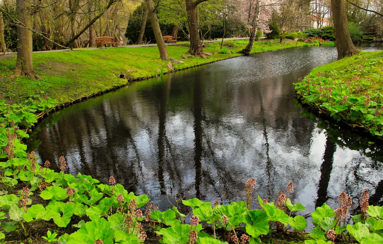 Photo wallpaper water, park, lake, pond