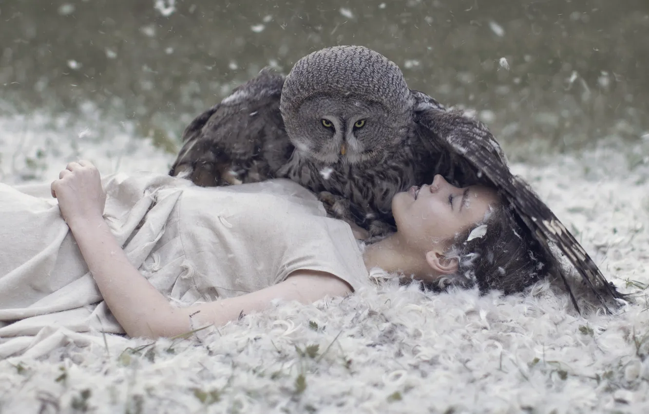 Photo wallpaper look, girl, nature, pose, grey, owl, bird, glade
