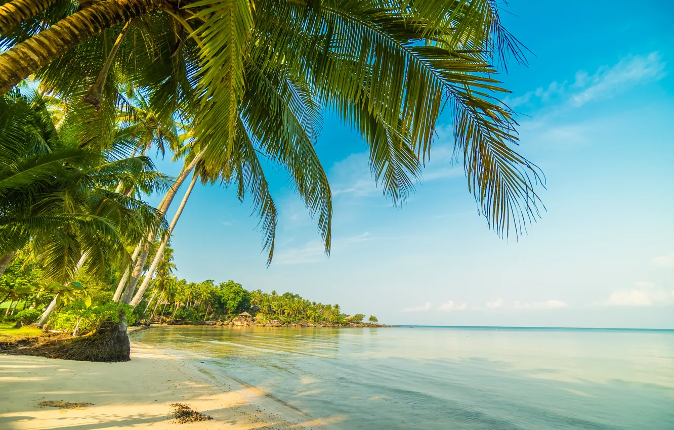Photo wallpaper beach, water, the sun, landscape, palm trees, the ocean, island, nature