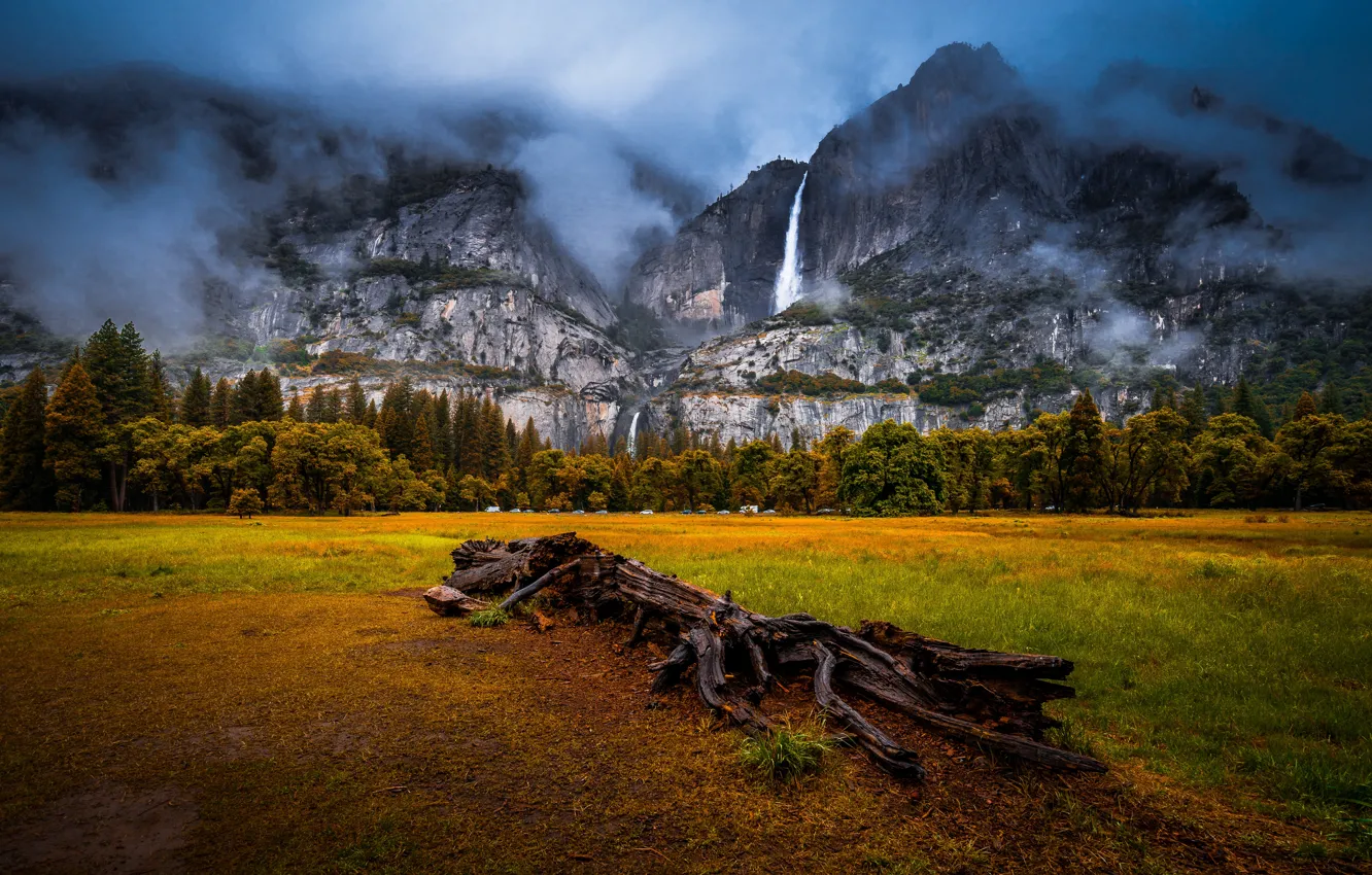 Photo wallpaper forest, mountains, valley, CA, snag, waterfalls, California, Yosemite national Park