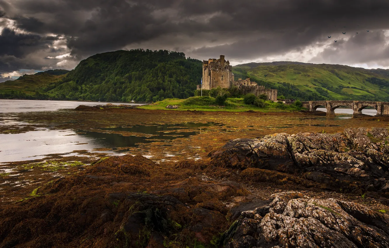 Photo wallpaper grass, clouds, clouds, bridge, castle, bird, shore, Scotland