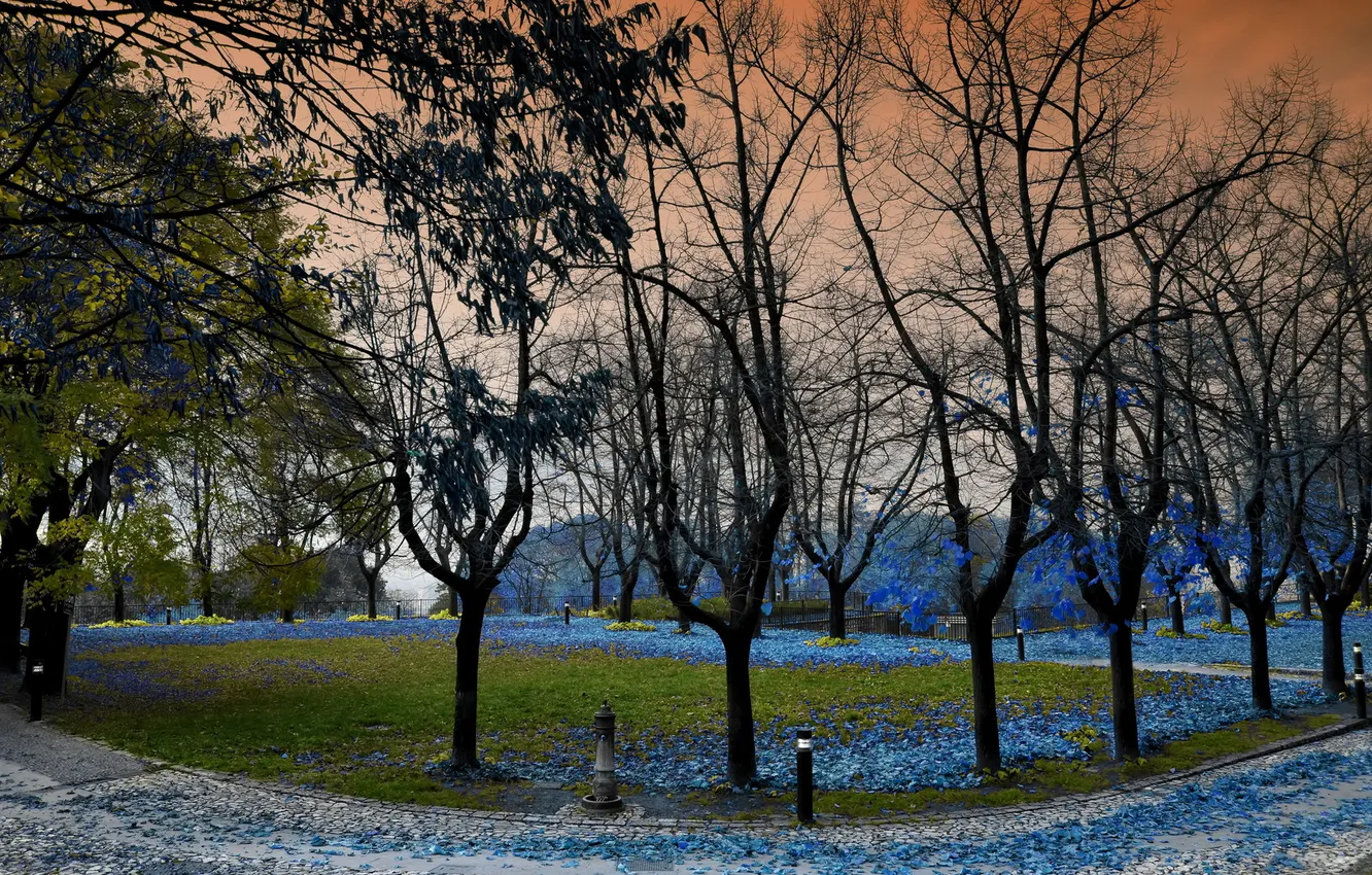 Photo wallpaper the city, Park, fantasy