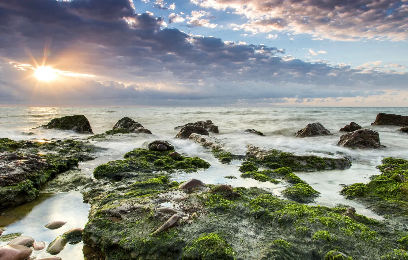 Photo wallpaper sea, the sky, clouds, stones, dawn, coast, moss, horizon