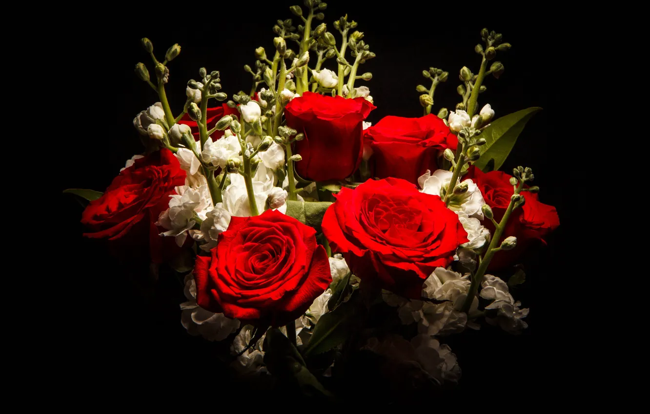 Photo wallpaper flowers, red, roses, bouquet, black background
