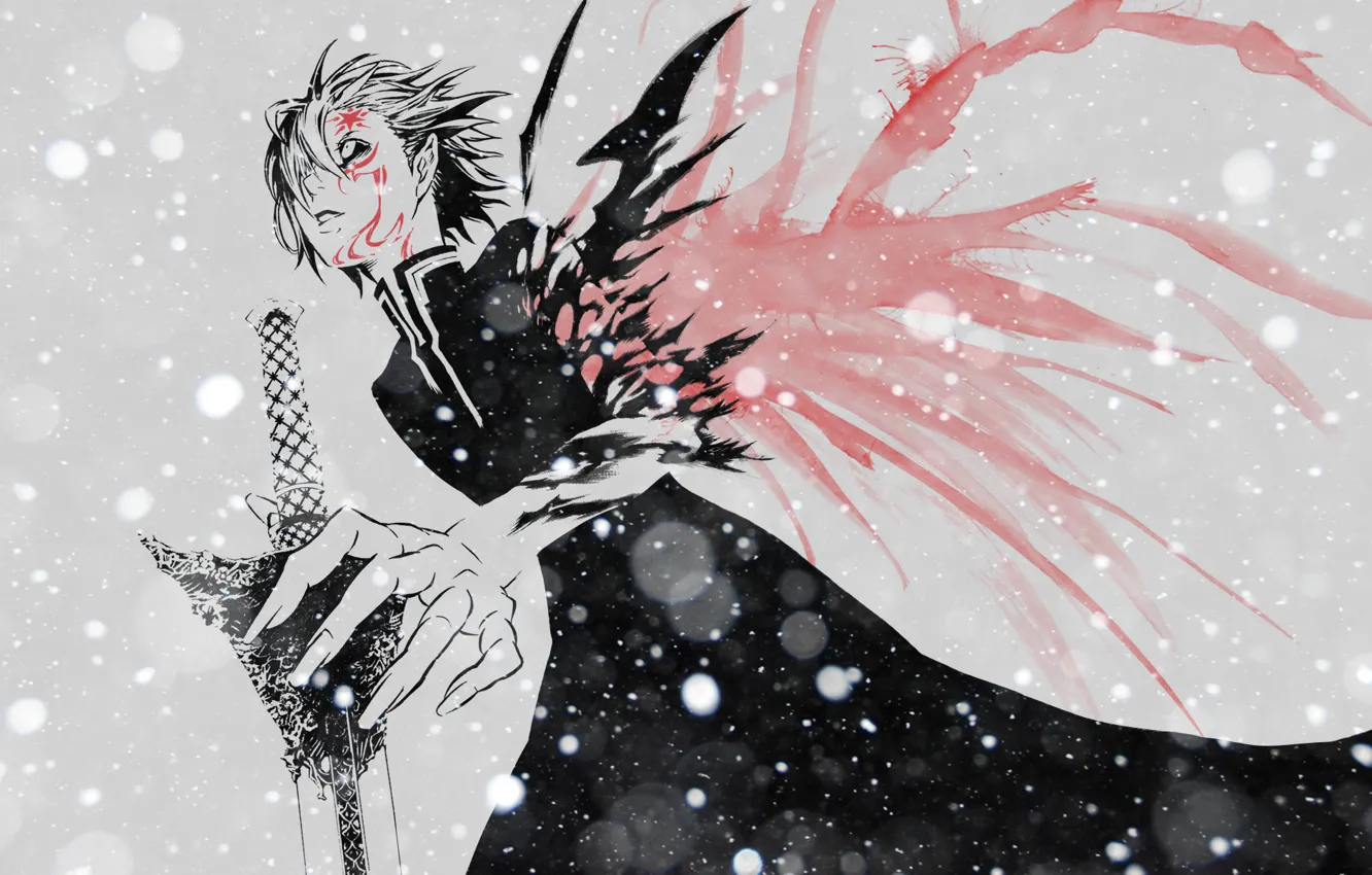 Photo wallpaper paint, sword, anime, guy, man, Walker, All, D-Gray