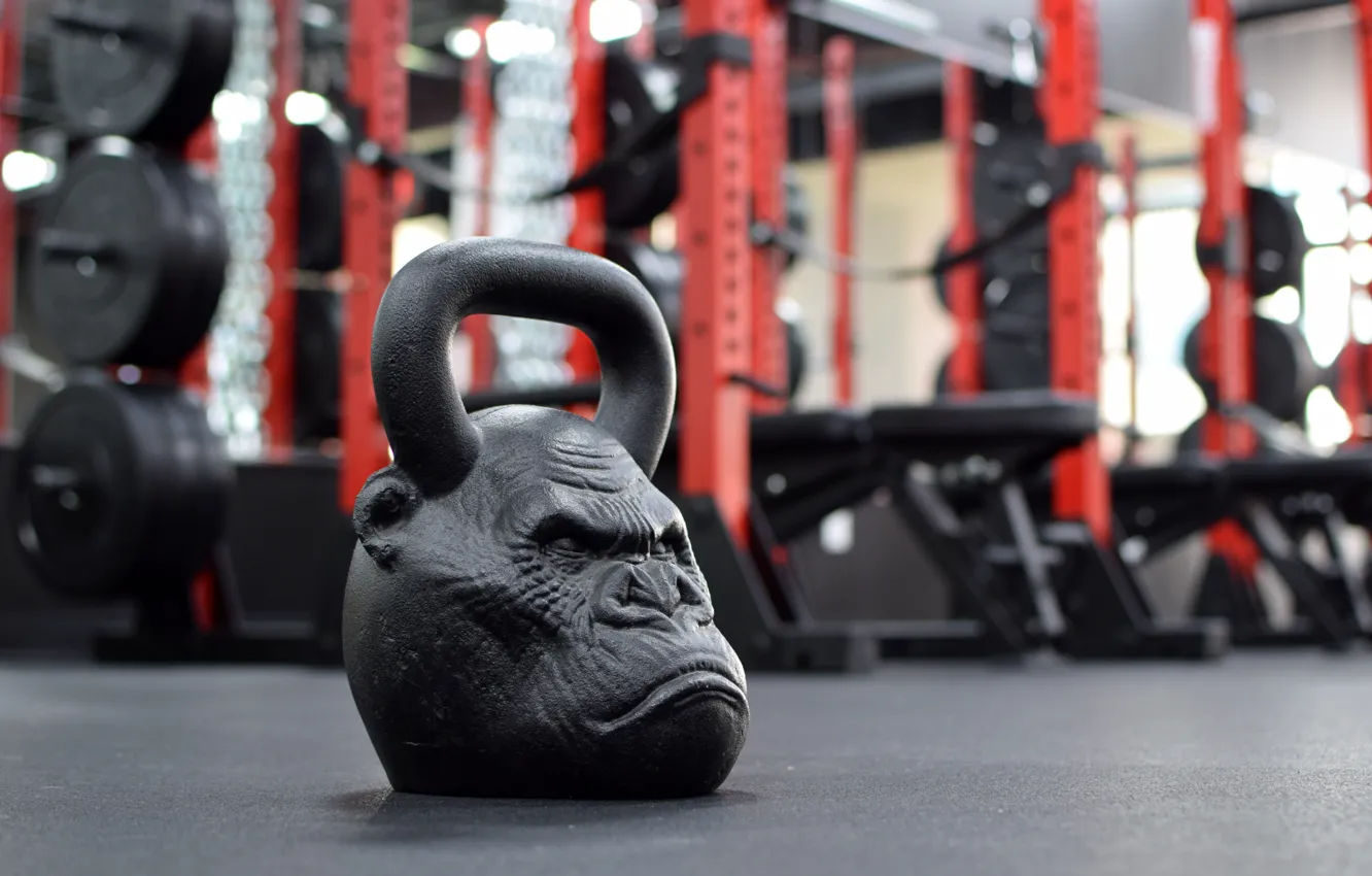 Photo wallpaper monkey, weight, gym