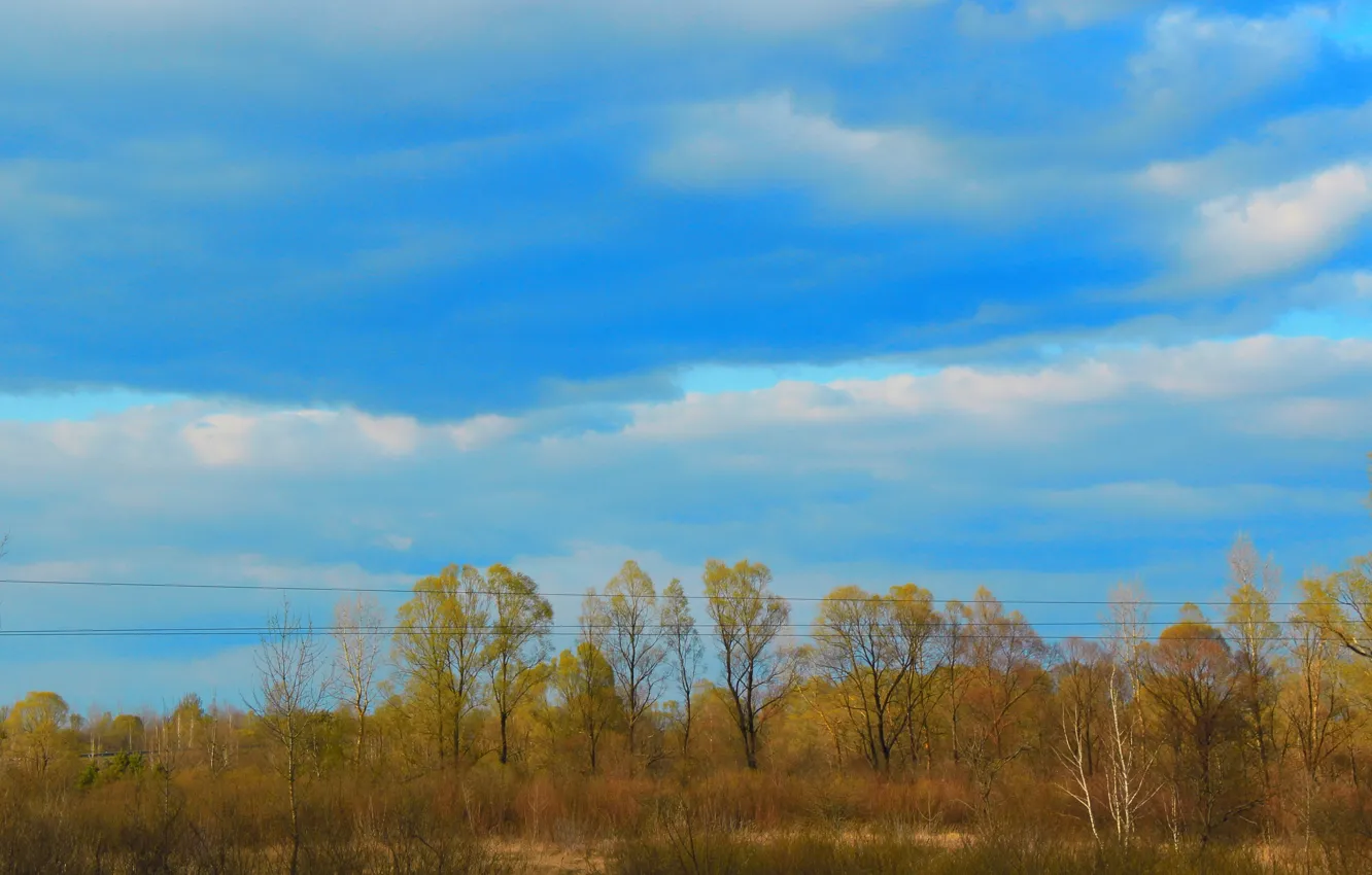 Photo wallpaper autumn, the sky, clouds