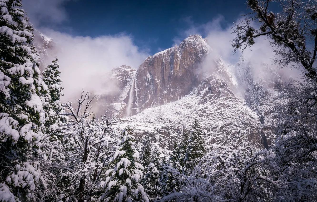 Photo wallpaper winter, forest, landscape, nature, fog, rock, mountain, beauty