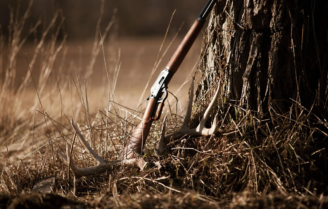 Photo wallpaper gun, forest, western, rifle, winchestern