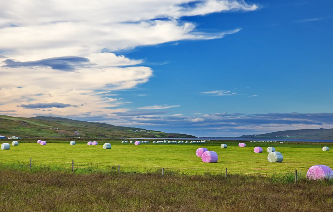 Photo wallpaper field, the sky, blue, hay, bales, hay, bales