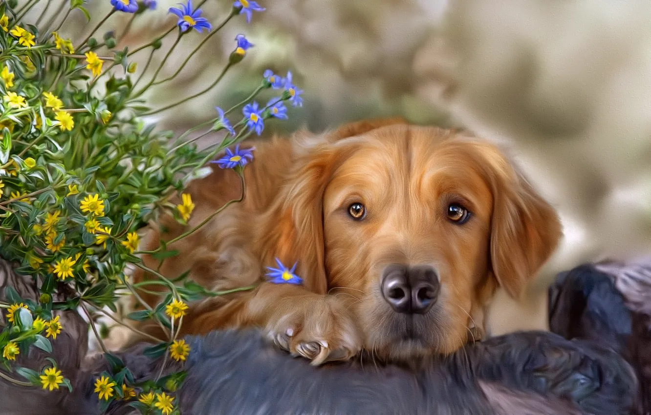 Photo wallpaper flowers, dog, texture