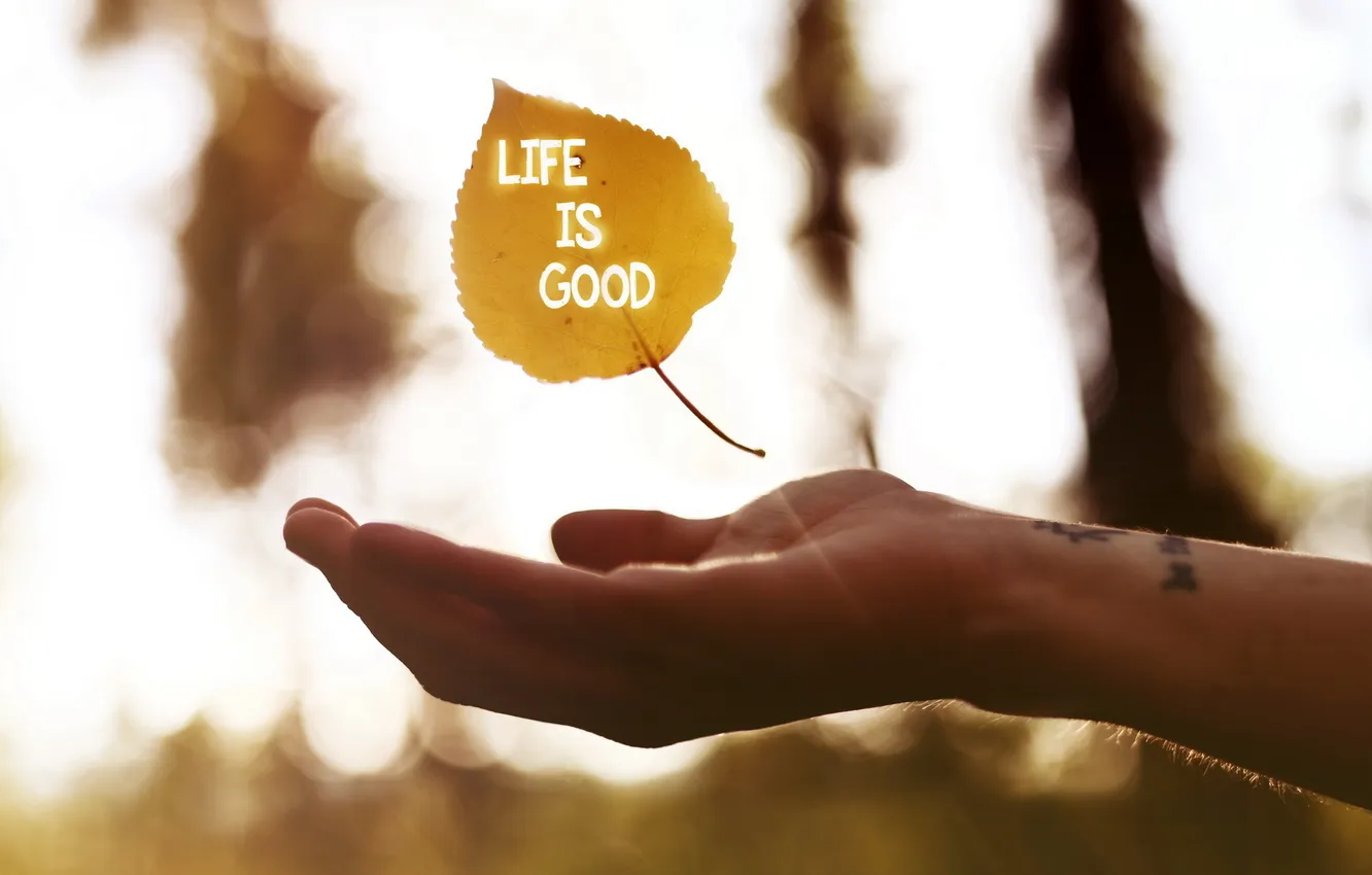 Photo wallpaper sheet, hand, the phrase, Life is Good