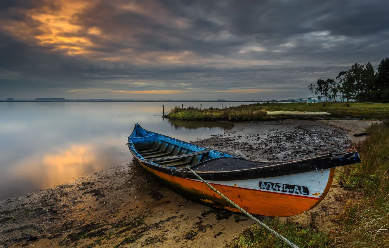 Photo wallpaper sand, the sky, grass, clouds, light, trees, clouds, lake