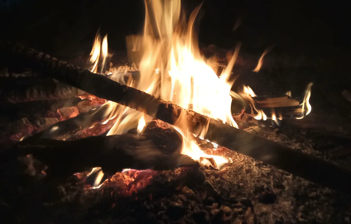 Photo wallpaper lights, fire, flame, the fire, coal, burns, burning branches, bonfire