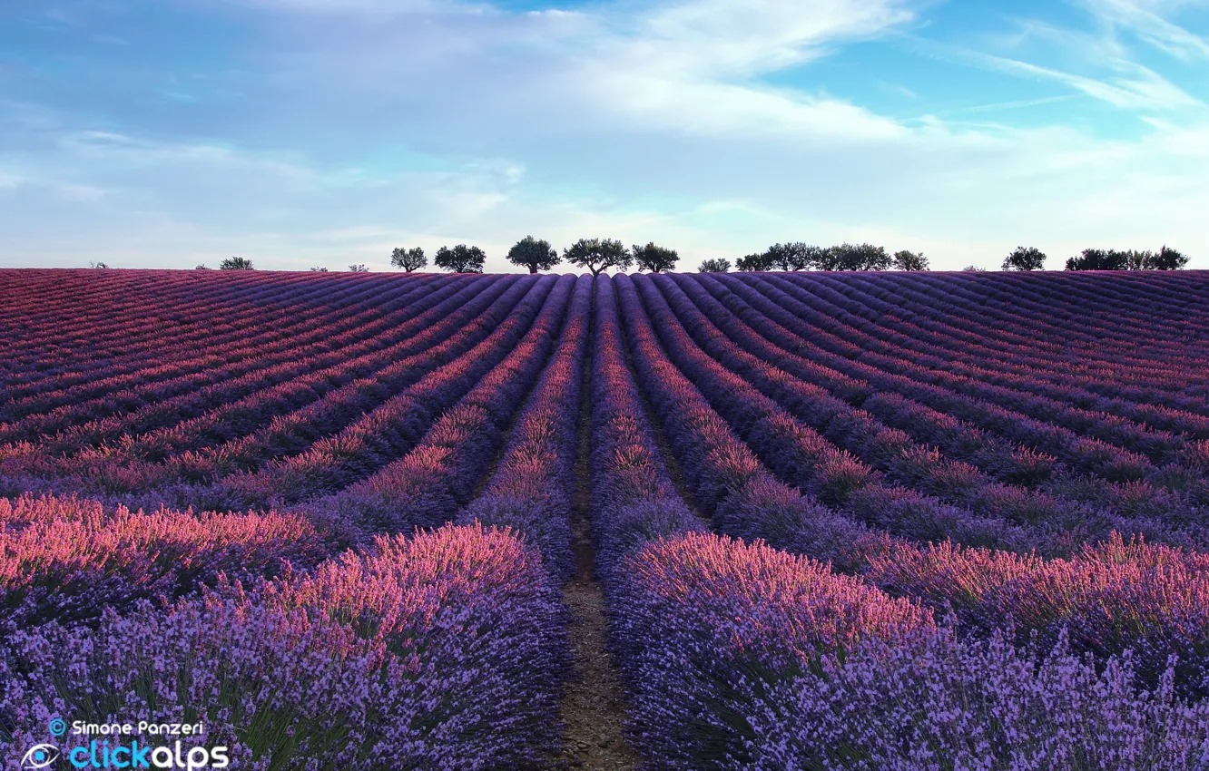 Photo wallpaper field, the sky, clouds, lavender