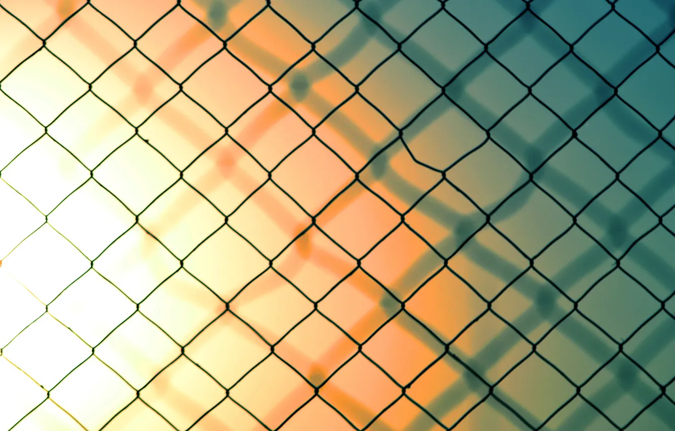 Photo wallpaper mesh, the fence, wire, shadow