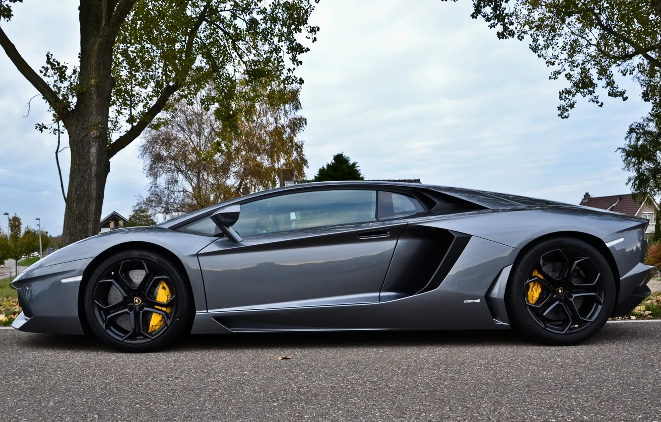Photo wallpaper the sky, trees, black, Lamborghini, silver, profile, drives, LP700-4