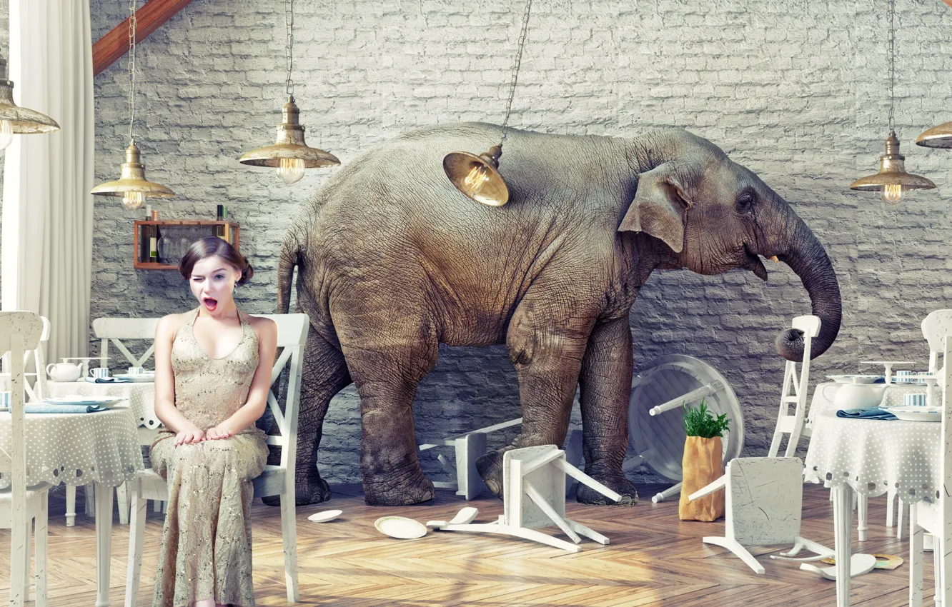Photo wallpaper girl, table, fright, elephant, chair, restaurant, Elephant in the restaurant, Exotic wildlife