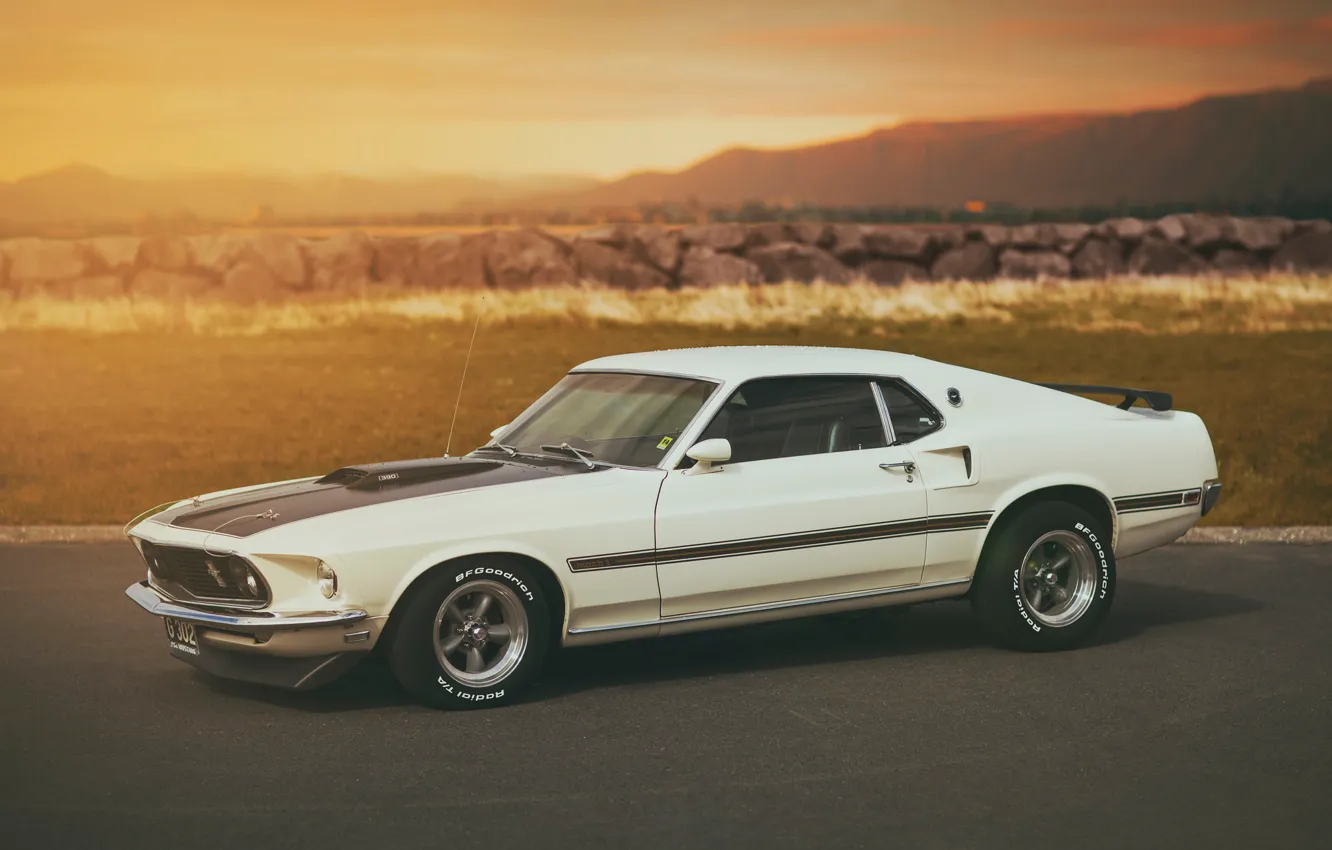 Photo wallpaper white, Mustang, Ford, Mustang, white, Ford, Mach 1