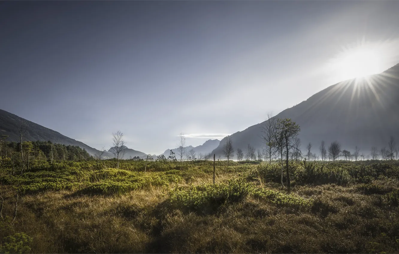 Photo wallpaper mountains, valley, haze