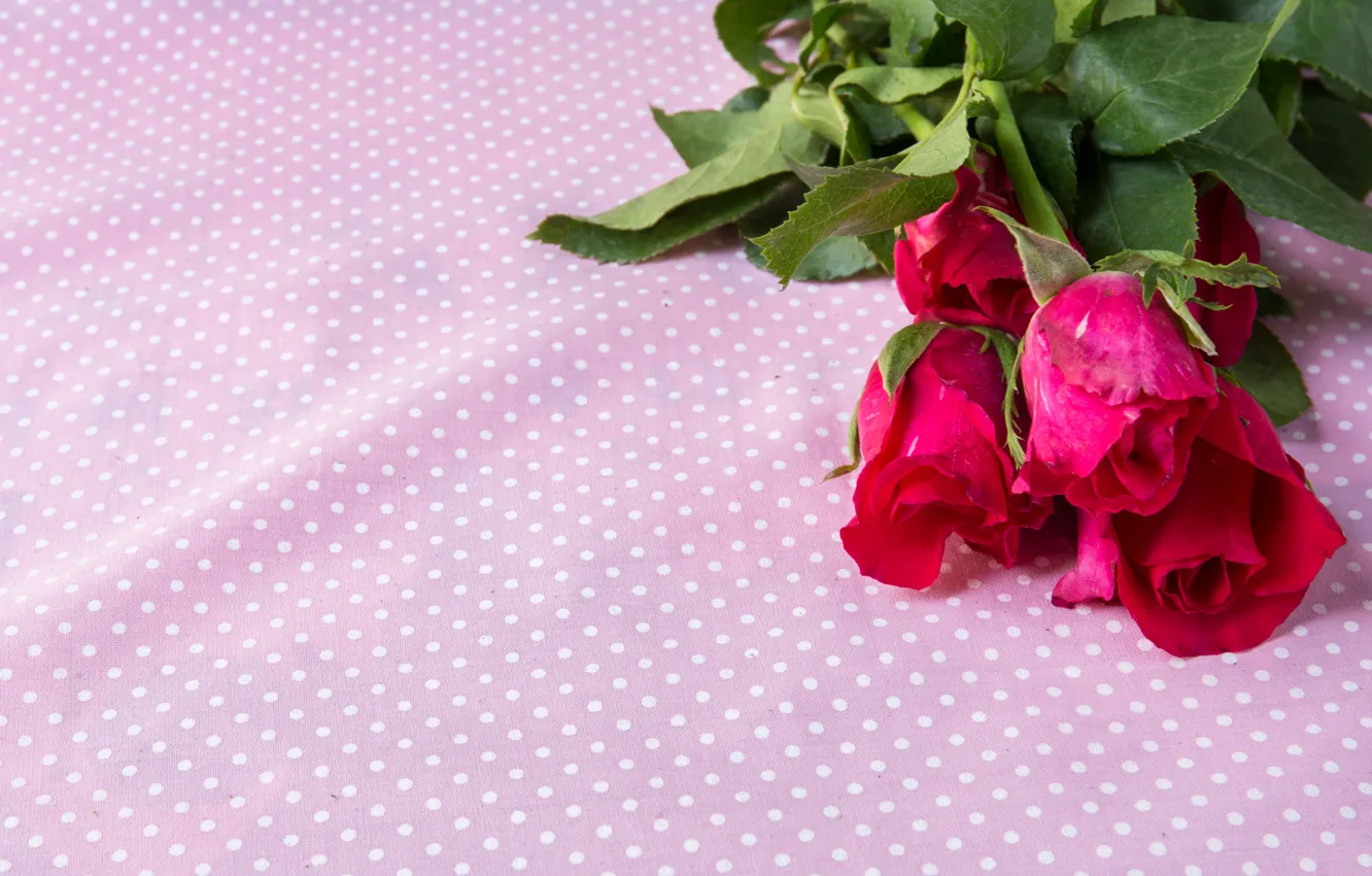 Photo wallpaper flowers, roses, bouquet, buds