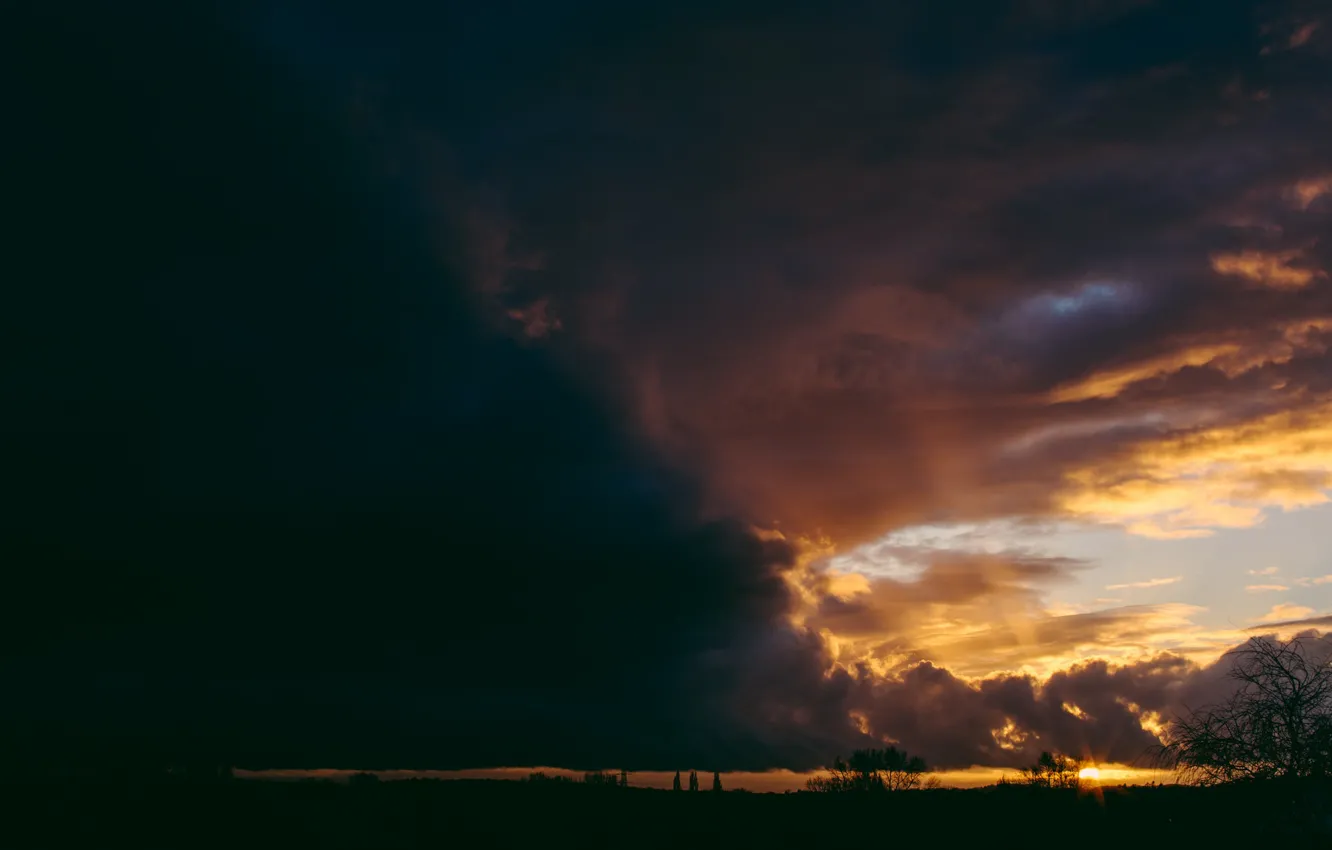 Photo wallpaper the sky, trees, sunset, clouds, horizon