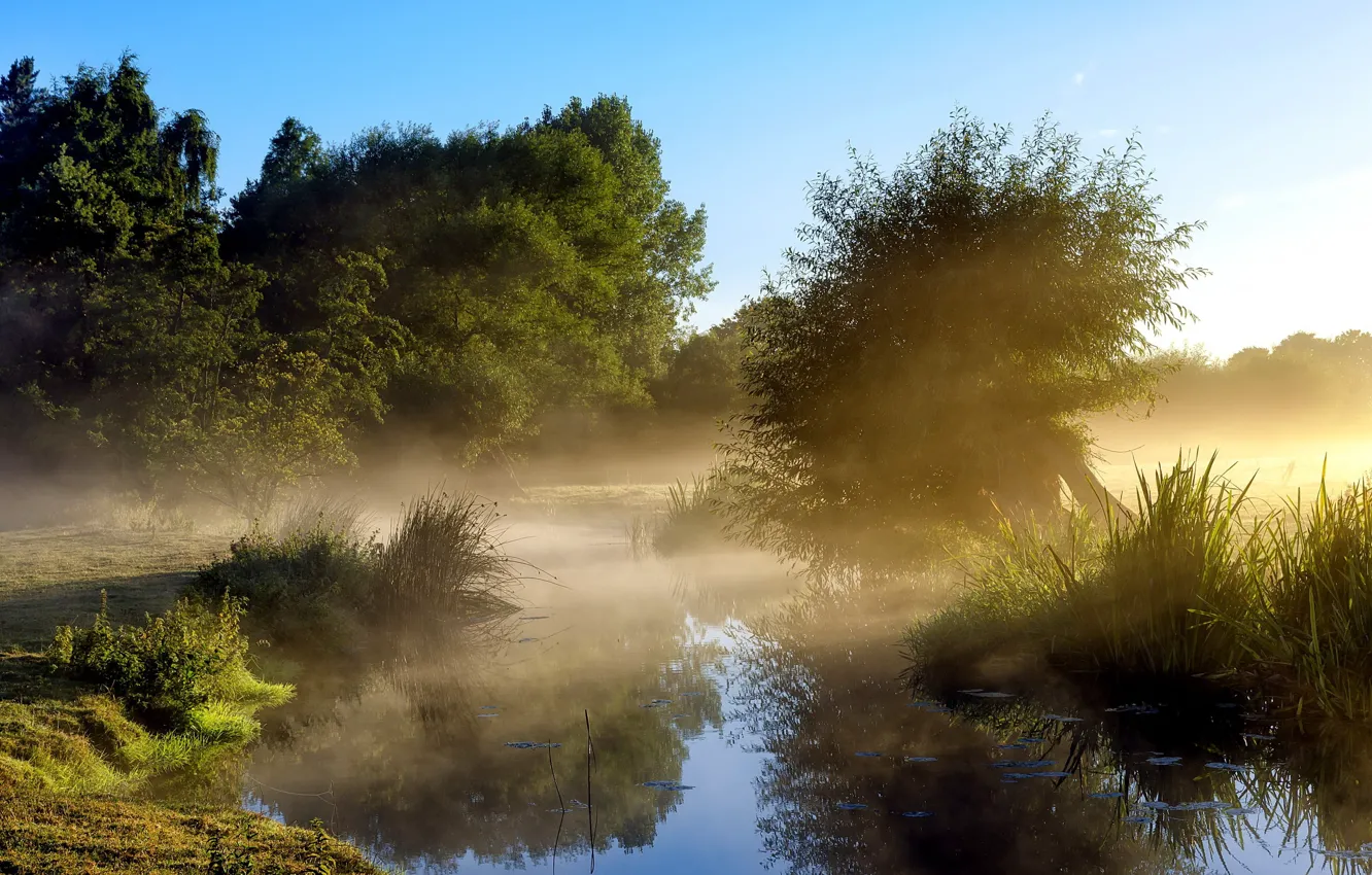 Photo wallpaper nature, fog, morning
