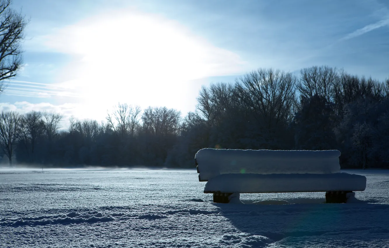Photo wallpaper winter, snow, Park, in the snow, day, bench, bench, sparkles