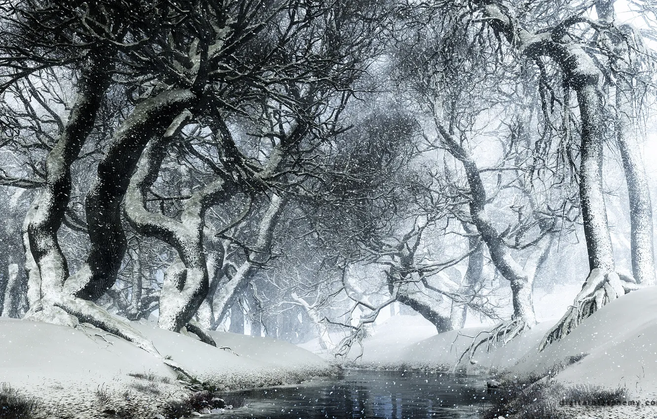 Photo wallpaper winter, white, snow, trees, branches
