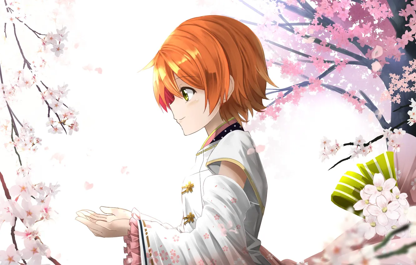 Photo wallpaper girl, spring, Sakura, the cherry blossoms