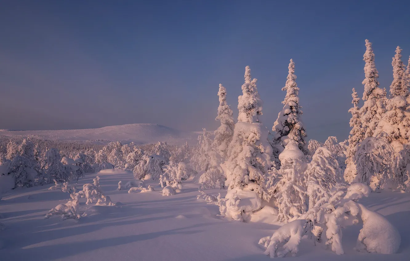 Photo wallpaper winter, the sky, snow, trees, ate, the snow, Russia, Main Ural ridge
