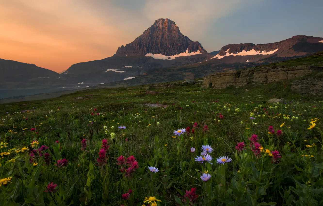 Photo wallpaper field, summer, flowers, mountains, tops