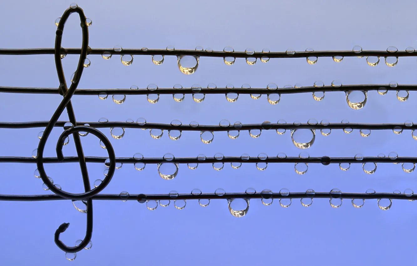 Photo wallpaper drops, notes, music