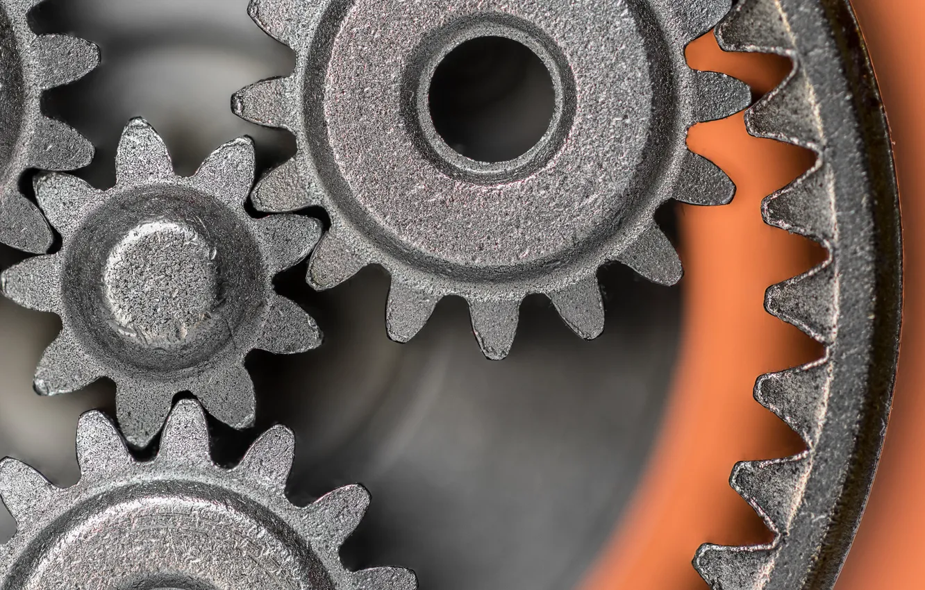 Photo wallpaper macro, background, mechanism