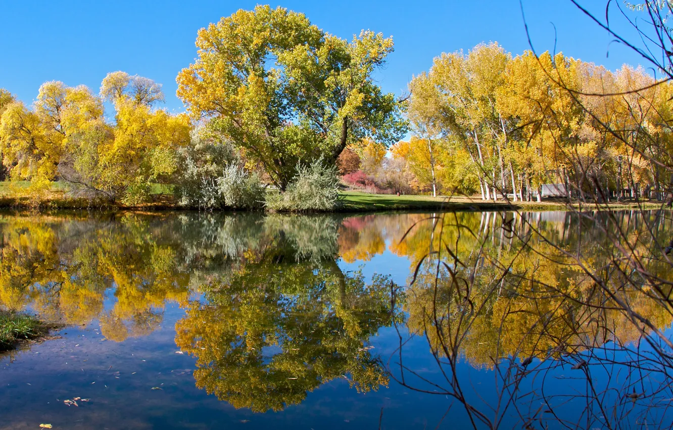 Photo wallpaper autumn, the sky, trees, lake, pond, Park, reflection