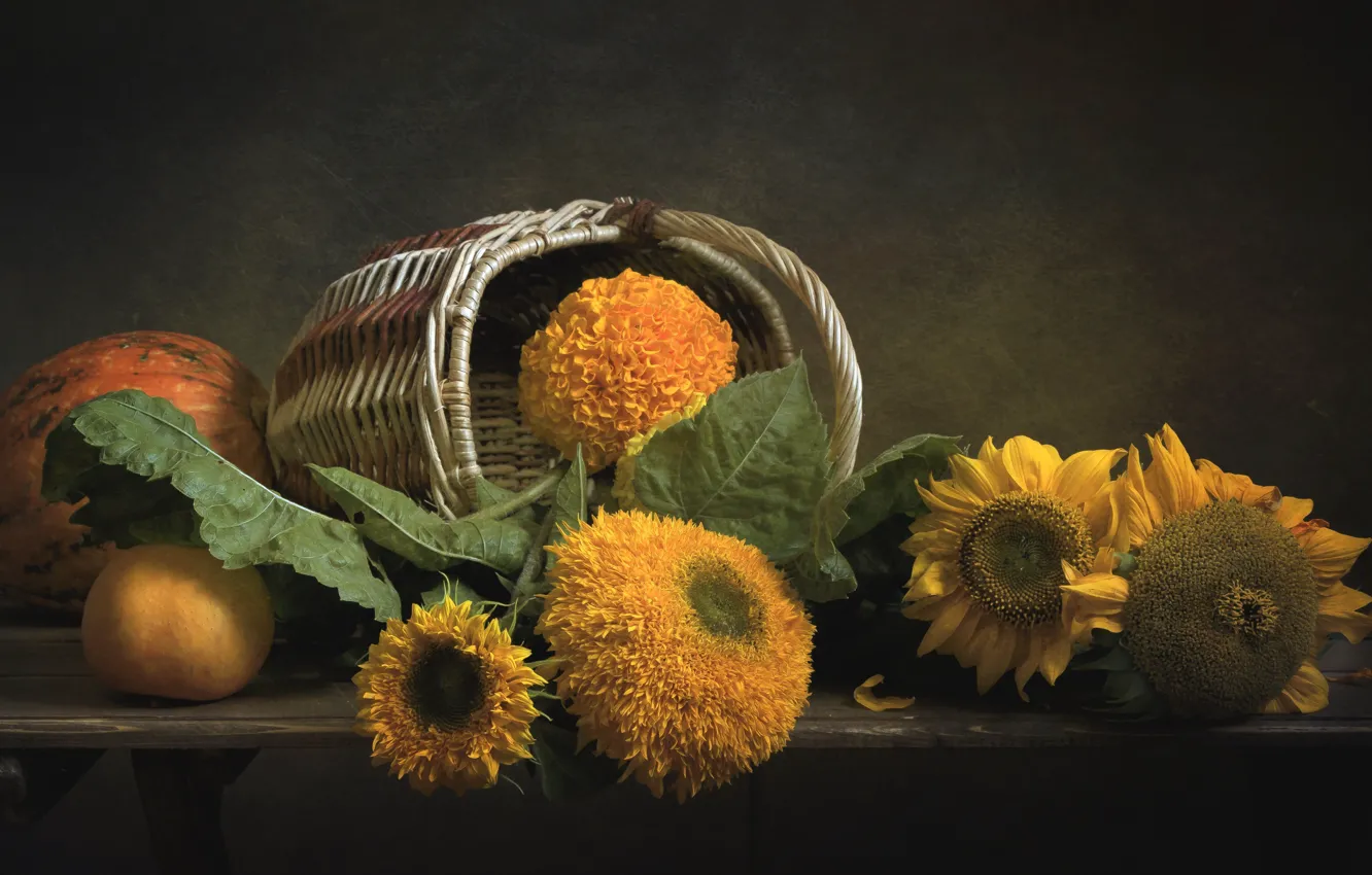 Photo wallpaper sunflowers, orange, pumpkin, marigolds