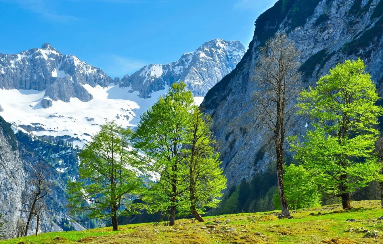 Photo wallpaper the sky, snow, trees, mountains, nature, rocks