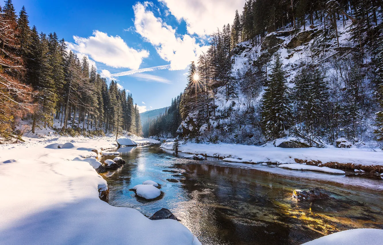 Photo wallpaper the sun, clouds, snow, trees, river