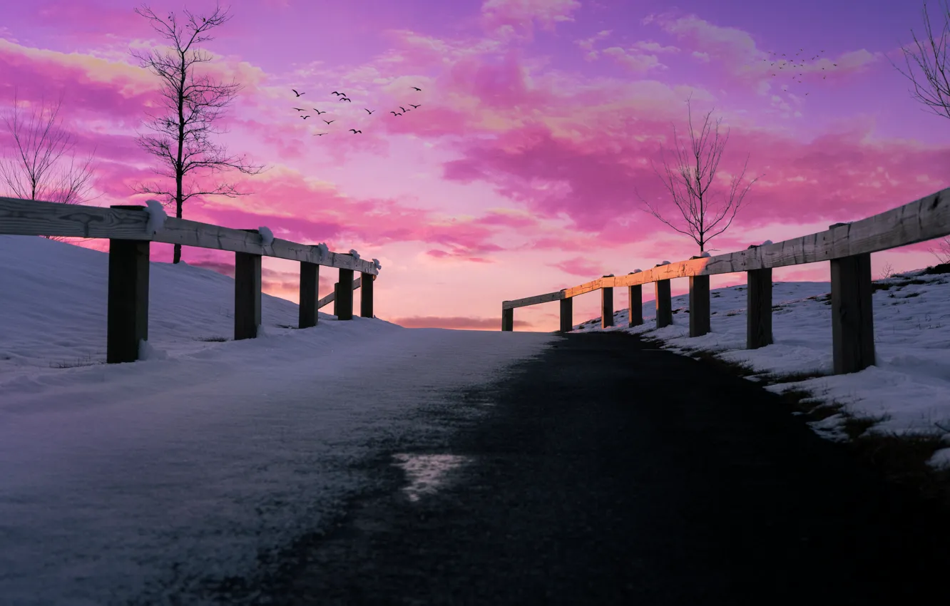 Photo wallpaper snow, trees, beauty, fence, track, trees, snow, beauty